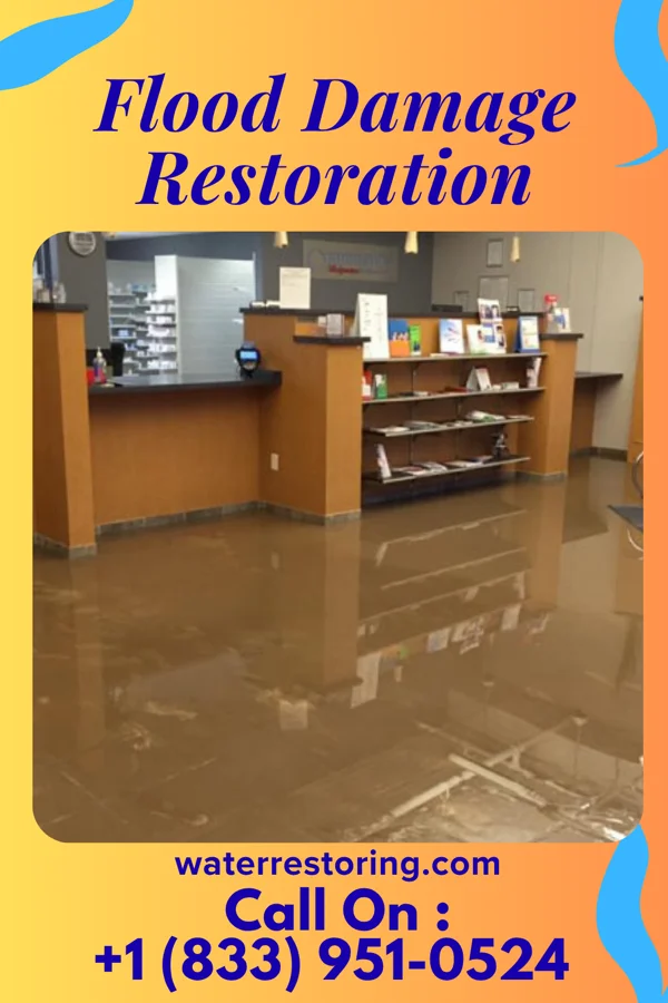 Flood Damage Restoration in Willow River, MN