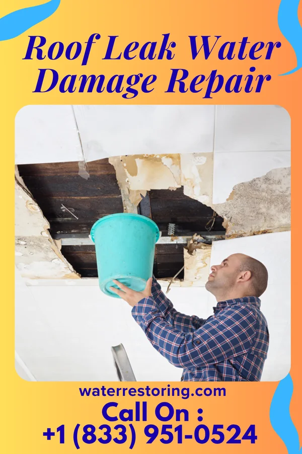 Roof Leak Water Damage Repair in Willow River, MN