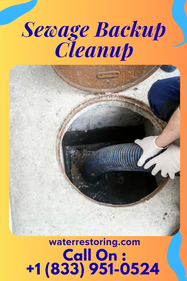 Sewage Backup Cleanup in Willow River, MN