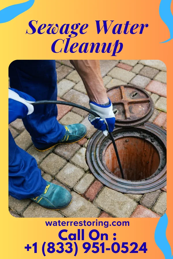 Sewage Water Cleanup in Willow River, MN