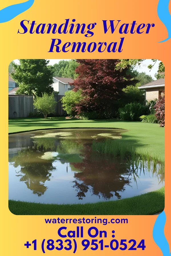 Standing Water Removal in Willow River, MN